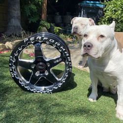 WELD Ventura Beadlock Wheels 17x10