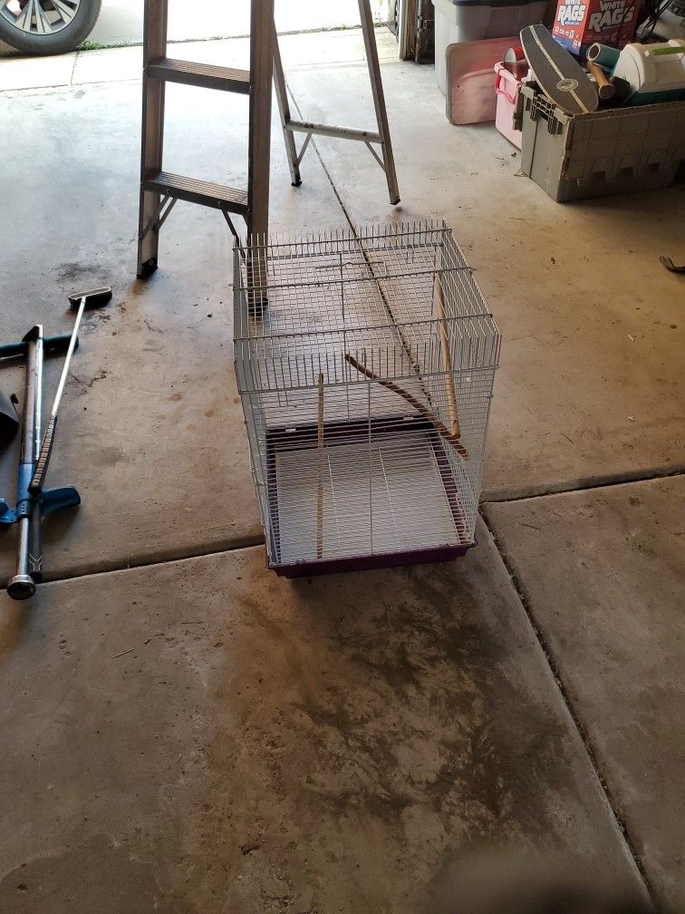 Bird Cage