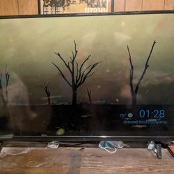 Vizo 40inch smart tv w/ remote