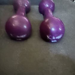 Danskin 8 Lb Hand Weights Set