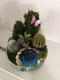 Mini jardines con cactus naturales