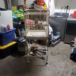 Bird Cage