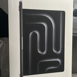 2025 Mac Book Pro M4