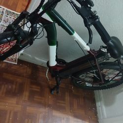 Electric Bike