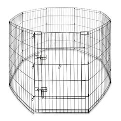 Dog fence