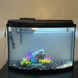 36 Gallon Tank 