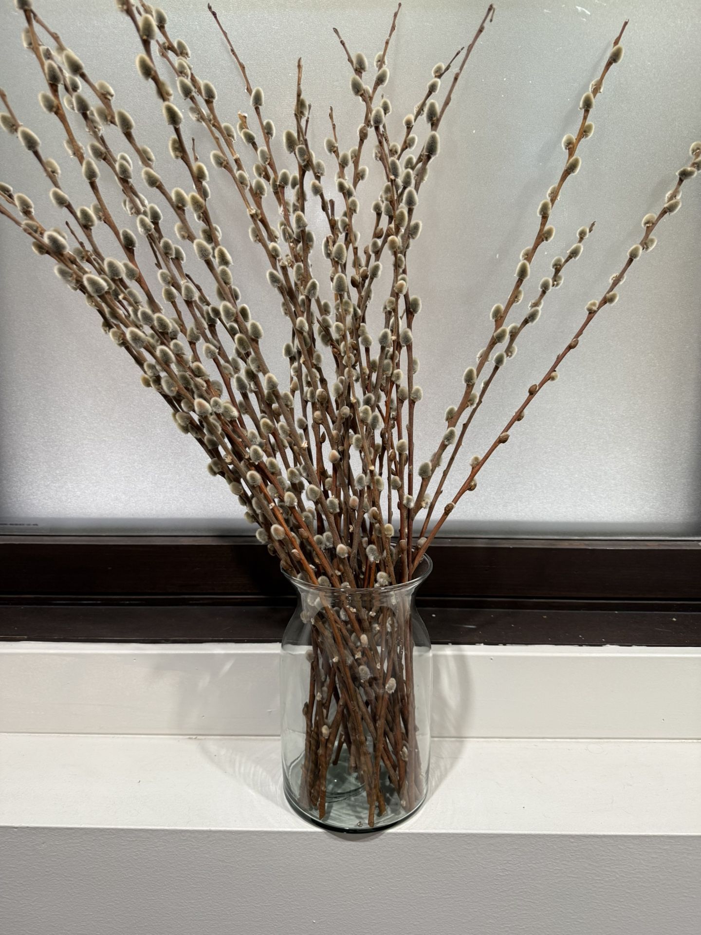Glass Vase & Pussy Willow