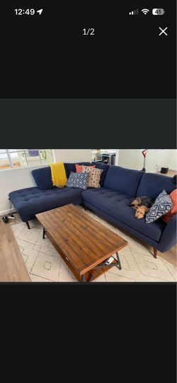 4 Month Old Sectional