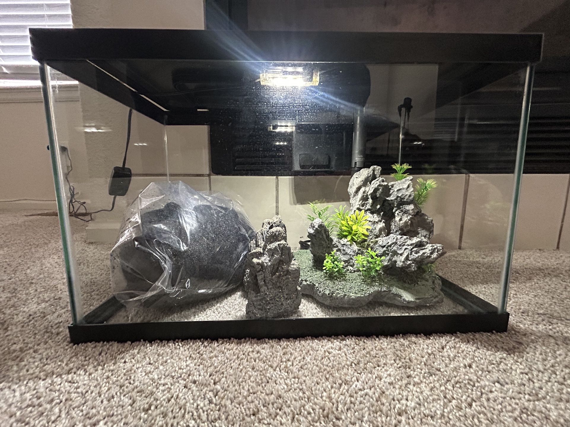 Fish Aquarium
