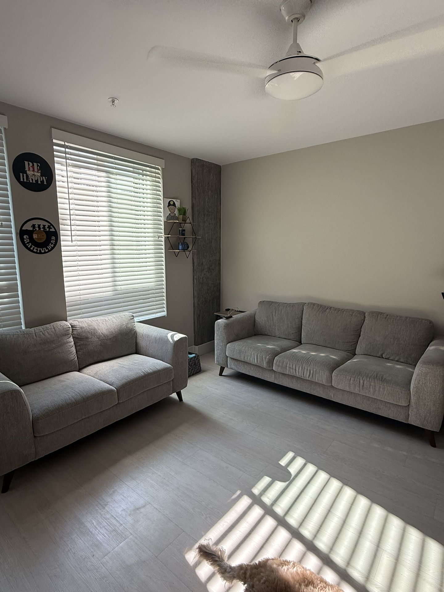 Gray Couch Set