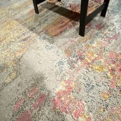 Beautiful Multicolor Area Rug
