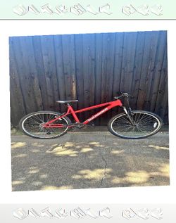 leader sure Mature Bike Easy Riding for Everyday Use