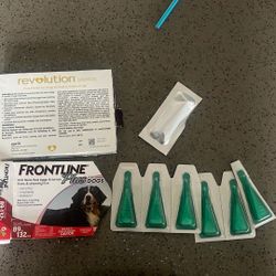 Dog Flea Medicine 