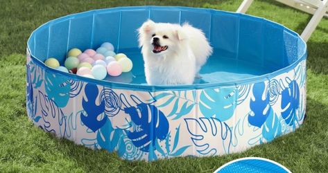 Joyfy 48" x 12" Foldable Dog Pet Pool, Portable Kids Doggie Pets Swimming Pool, Kiddie Bathing Tub for Indoor/Outdoor with Drain