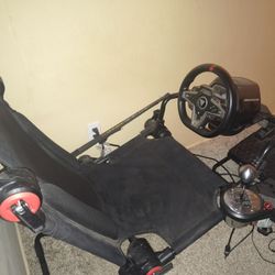 Thrustmaster Racing Rig
