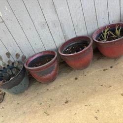 Flower Pots 