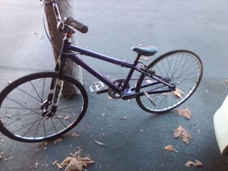 Purple Single Speed Urban Bicycle