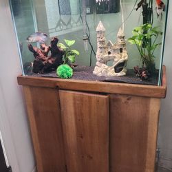 30 Gallon Aquarium  No Fish
