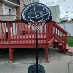 Lifetime Junior Basketball Hoop