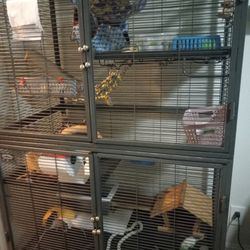 Double Critter Nation 