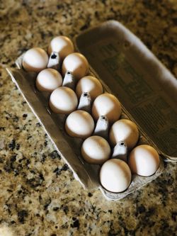 Duck Eggs!