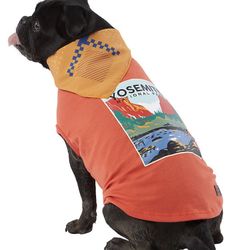 NEW Yosemite National Park Dog Tee & Bandana Set ** Multiple Sizes Available**An Absolute steal @ $ 12 each!!** 