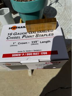 Lath Staples.