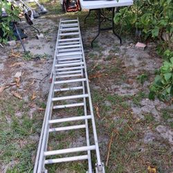 Ladder 16 Feet 