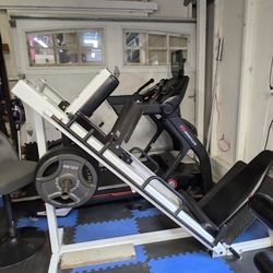 Leg Press/Hack Squat