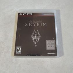 Skyrim 