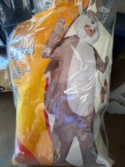 Squirrel Costume