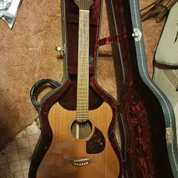 Wechter  Guitar 