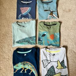 Tea Collection T-shirts Kids Size 7