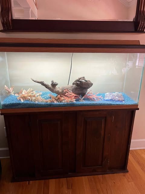 Lit Aquarium 