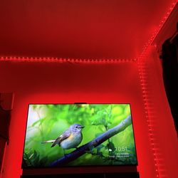 Telly Tv With 2 Screens Built In Sound Bar