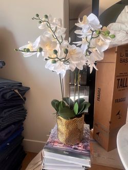 W&W Artificial Orchid Plants & Flowers Arrangement in Ceramic Pot, Fake Faux White Orchid with Gold