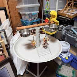 Bird Cages And Perch Ideal For Small Parrots