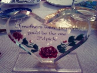 Rose gift in plastic stand