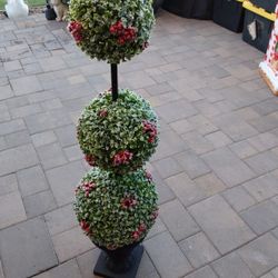 Topiary Tree