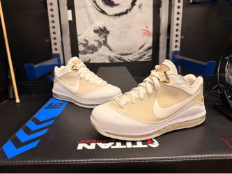 LeBron 7 low size 9