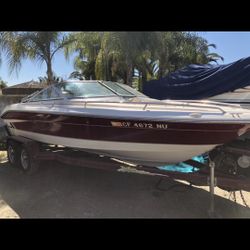 Searay