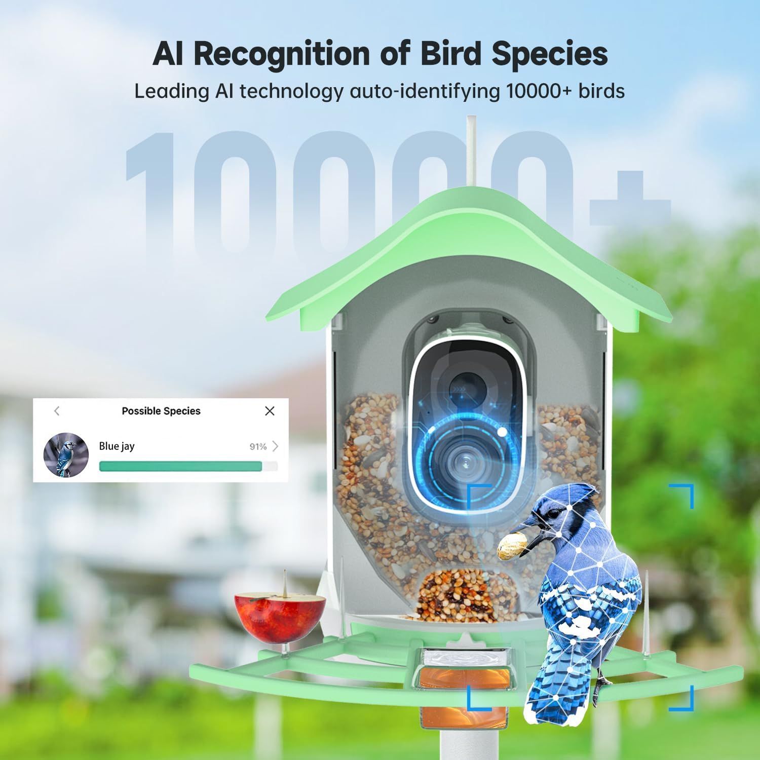 Smart Bird Feeder with Camera, AI Identify Bird Species Solar