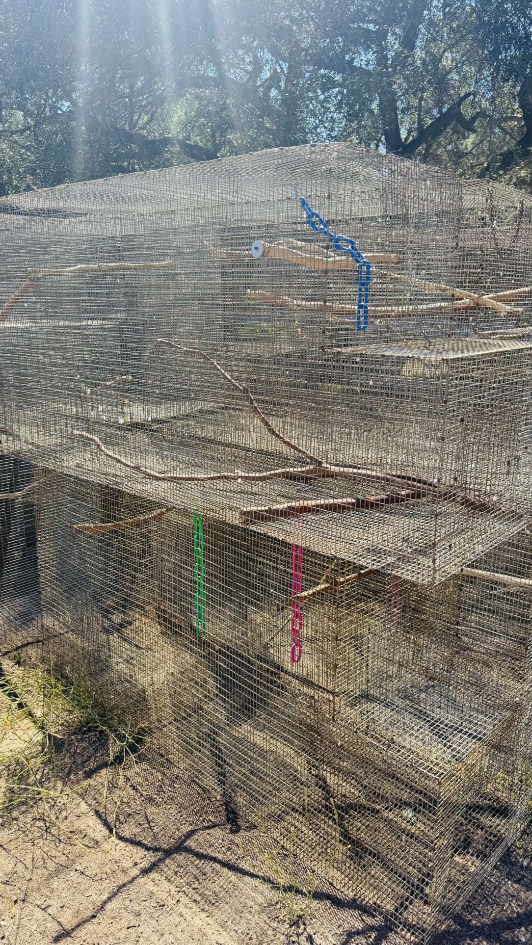 Cage Aviary. Outdoors