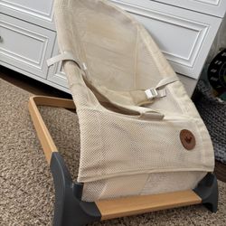 Baby Bouncer 