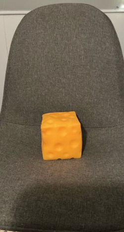 BRAND NEW cheese squishy