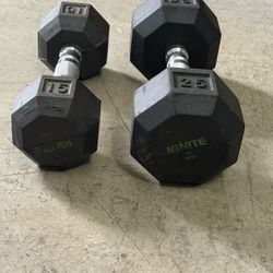 15 lbs & 25 lbs Dumbbells 