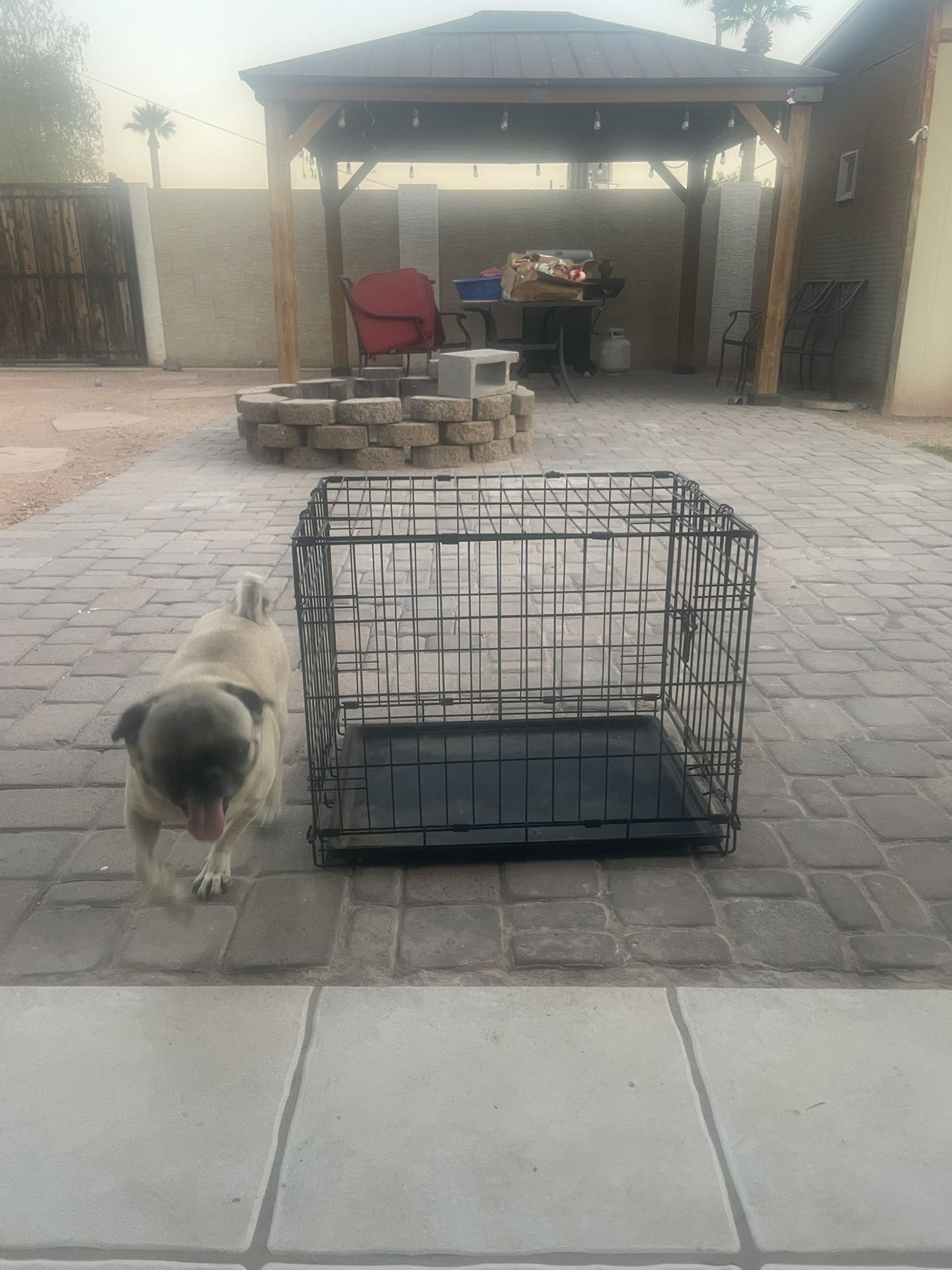 Dog Kennel