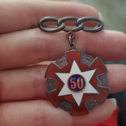Vintage Pin