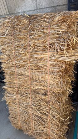Hay!