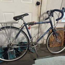 Terry Isis Road Bike